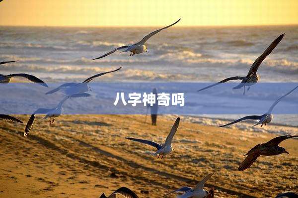 八字神奇吗