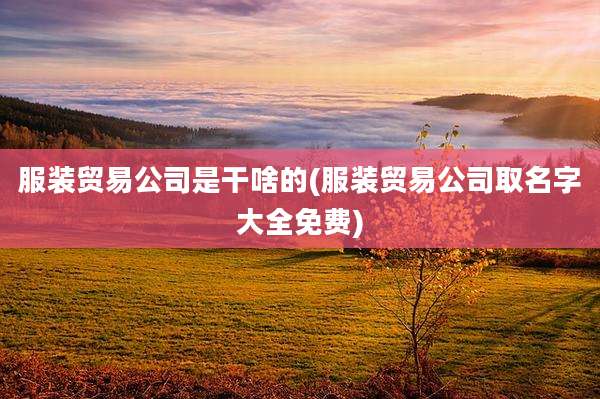 服装贸易公司是干啥的(服装贸易公司取名字大全免费)