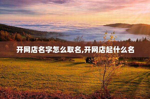 开网店名字怎么取名,开网店起什么名