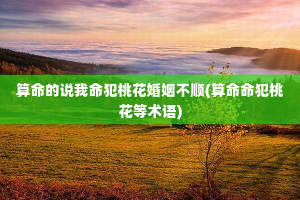 算命的说我命犯桃花婚姻不顺(算命命犯桃花等术语)