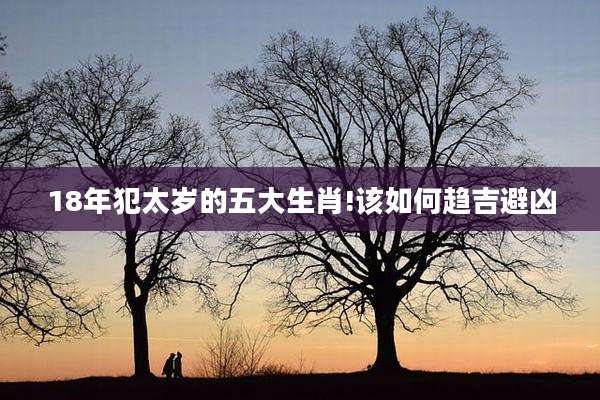 18年犯太岁的五大生肖!该如何趋吉避凶