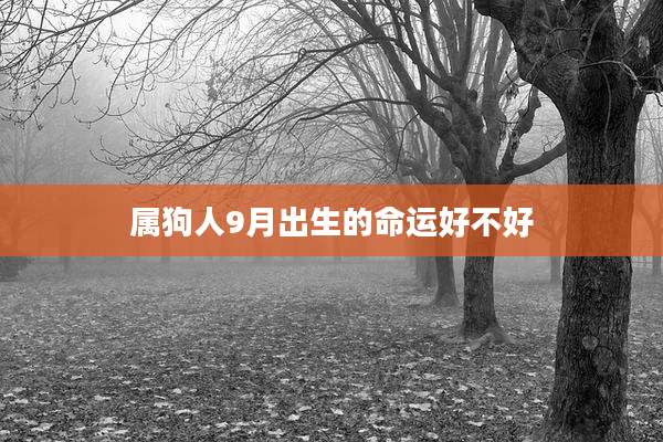 属狗人9月出生的命运好不好