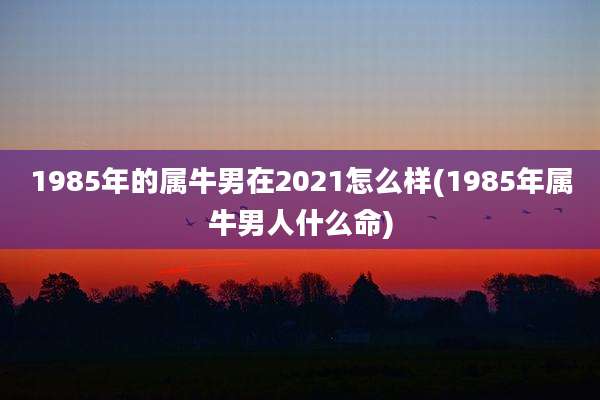 1985年的属牛男在2021怎么样(1985年属牛男人什么命)
