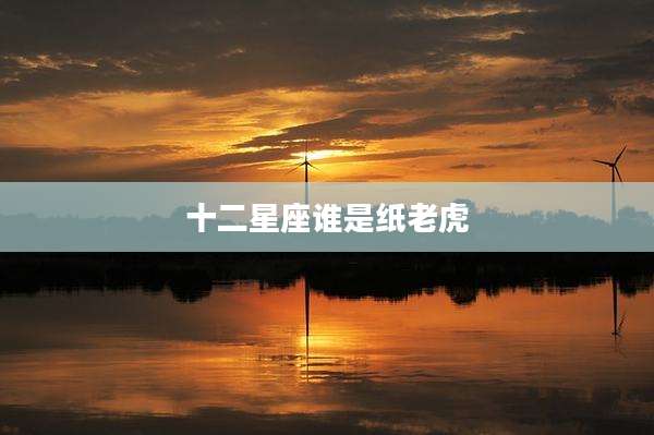 十二星座谁是纸老虎