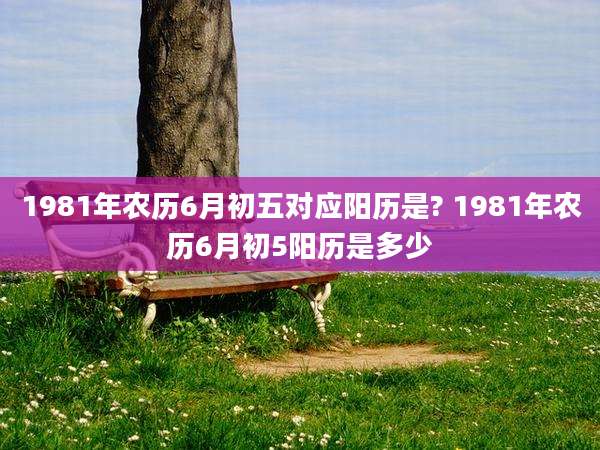 1981年农历6月初五对应阳历是? 1981年农历6月初5阳历是多少