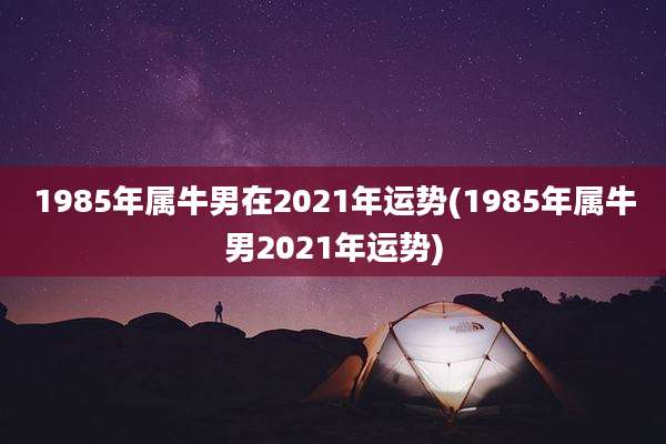 1985年属牛男在2021年运势(1985年属牛男2021年运势)
