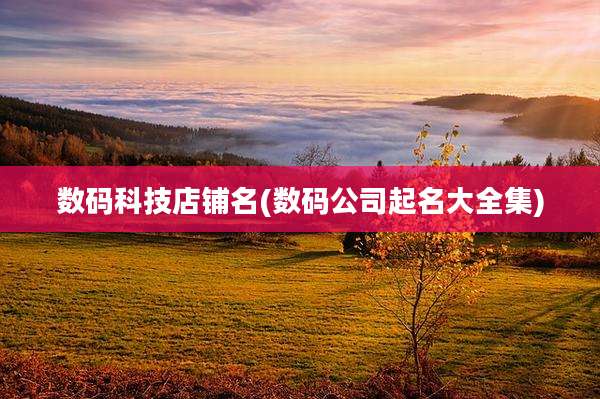 数码科技店铺名(数码公司起名大全集)