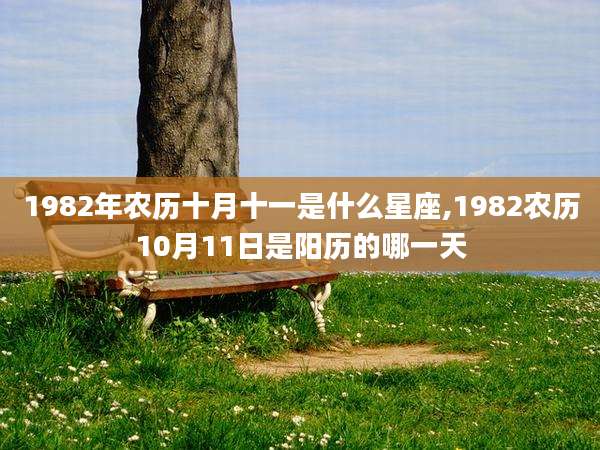 1982年农历十月十一是什么星座,1982农历10月11日是阳历的哪一天