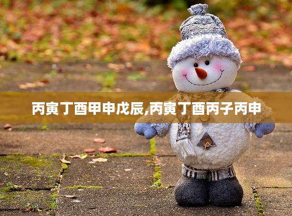 丙寅丁酉甲申戊辰,丙寅丁酉丙子丙申
