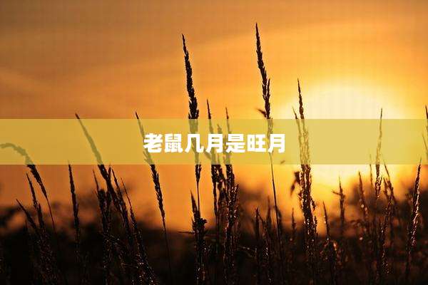 老鼠几月是旺月