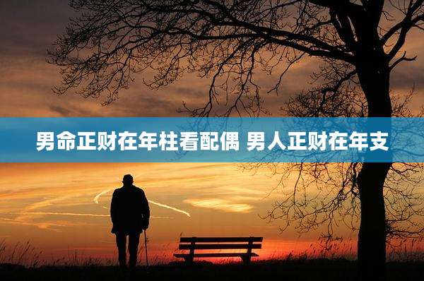 男命正财在年柱看配偶 男人正财在年支