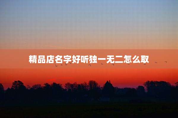 精品店名字好听独一无二怎么取