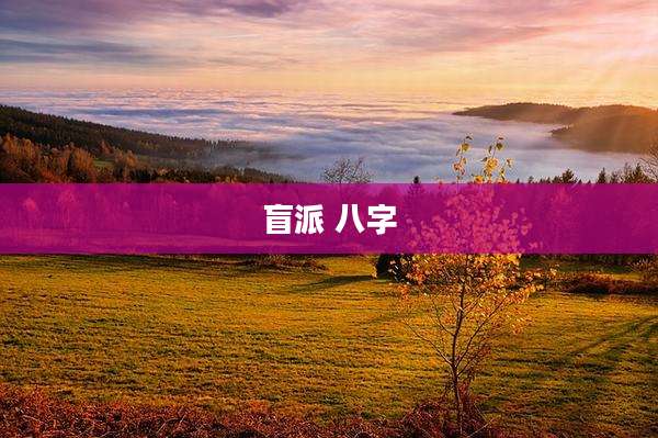 盲派 八字