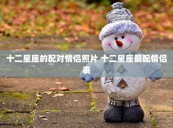 十二星座的配对情侣照片 十二星座最配情侣表