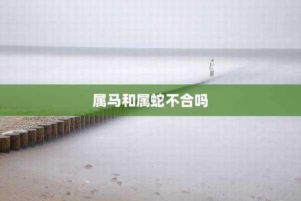 属马和属蛇不合吗