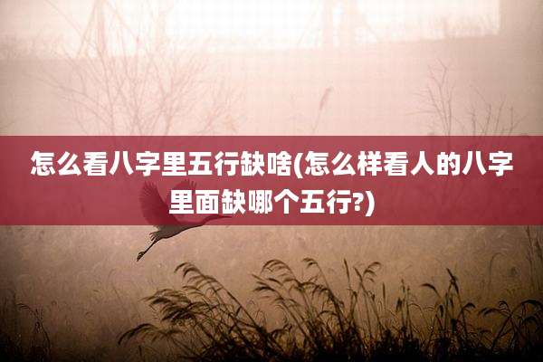 怎么看八字里五行缺啥(怎么样看人的八字里面缺哪个五行?)