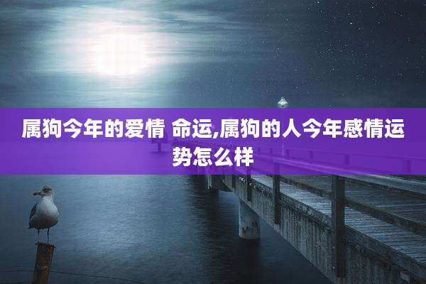 属狗今年的爱情 命运,属狗的人今年感情运势怎么样