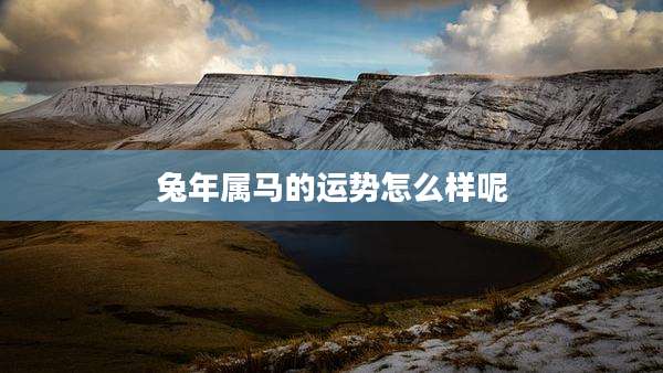 兔年属马的运势怎么样呢