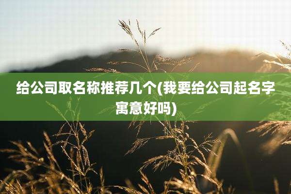 给公司取名称推荐几个(我要给公司起名字寓意好吗)