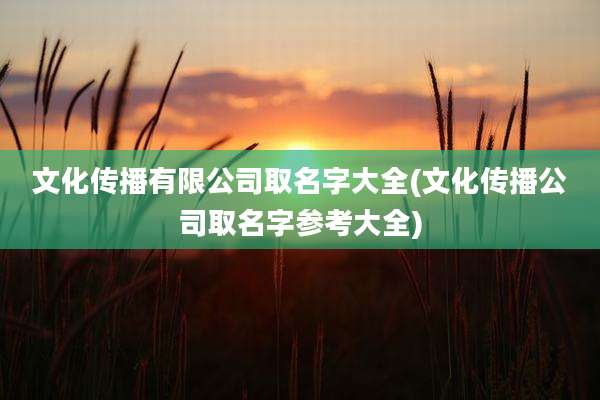 文化传播有限公司取名字大全(文化传播公司取名字参考大全)