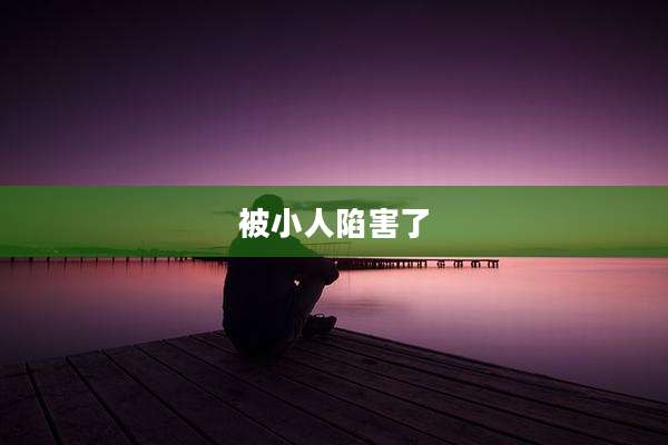 被小人陷害了