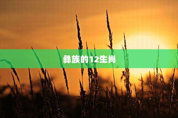 彝族的12生肖