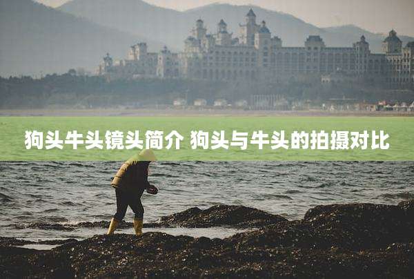 狗头牛头镜头简介 狗头与牛头的拍摄对比