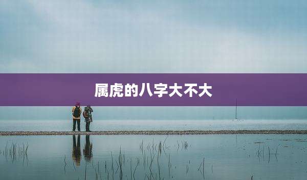 属虎的八字大不大