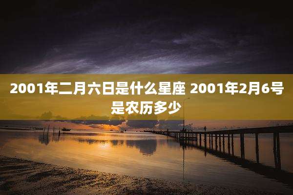 2001年二月六日是什么星座 2001年2月6号是农历多少