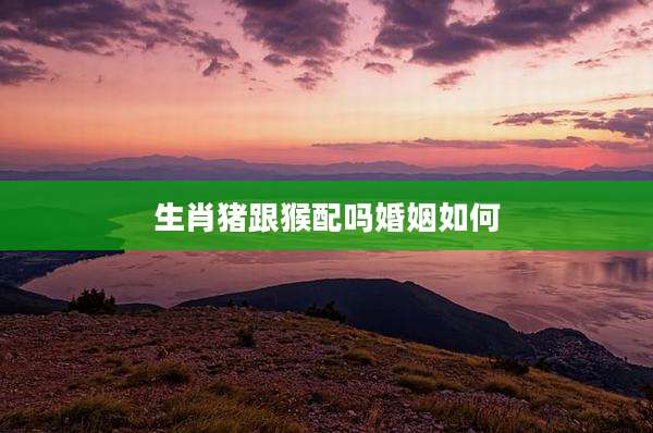 生肖猪跟猴配吗婚姻如何
