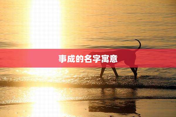 事成的名字寓意