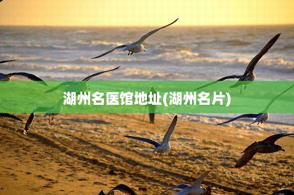 湖州名医馆地址(湖州名片)