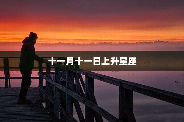 十一月十一日上升星座