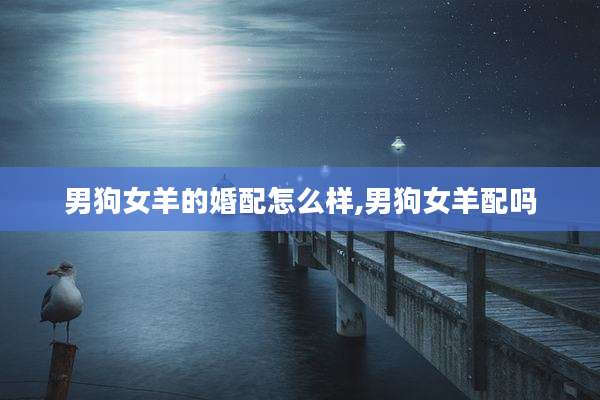 男狗女羊的婚配怎么样,男狗女羊配吗