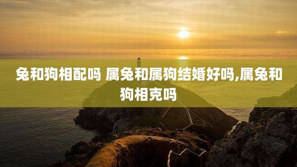 兔和狗相配吗 属兔和属狗结婚好吗,属兔和狗相克吗