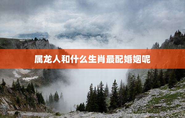 属龙人和什么生肖最配婚姻呢