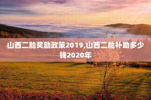 山西二胎奖励政策2019,山西二胎补助多少钱2020年