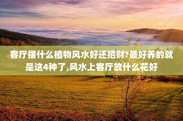 客厅摆什么植物风水好还招财?最好养的就是这4种了,风水上客厅放什么花好