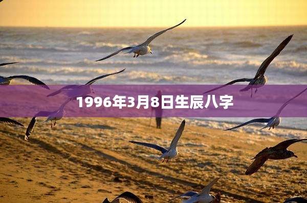 1996年3月8日生辰八字