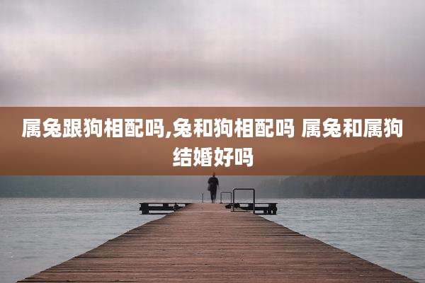 属兔跟狗相配吗,兔和狗相配吗 属兔和属狗结婚好吗