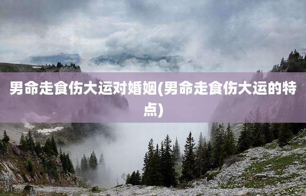 男命走食伤大运对婚姻(男命走食伤大运的特点)