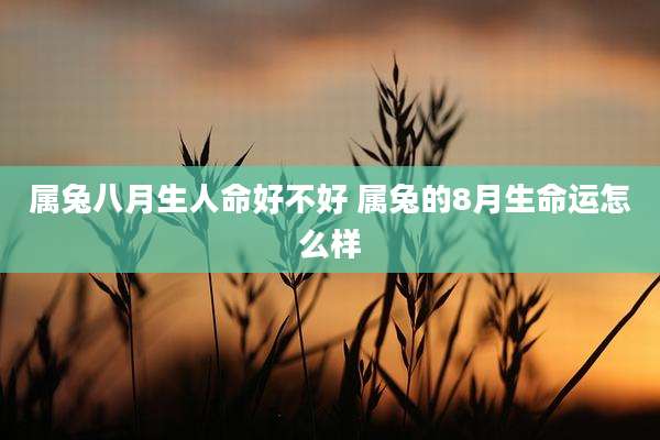 属兔八月生人命好不好 属兔的8月生命运怎么样