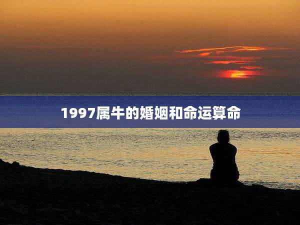 1997属牛的婚姻和命运算命