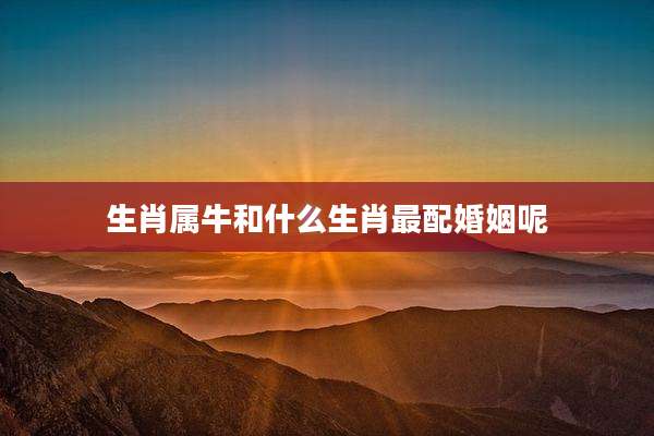生肖属牛和什么生肖最配婚姻呢