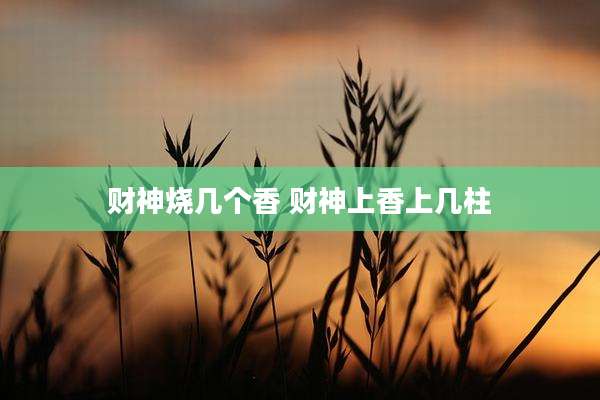 财神烧几个香 财神上香上几柱