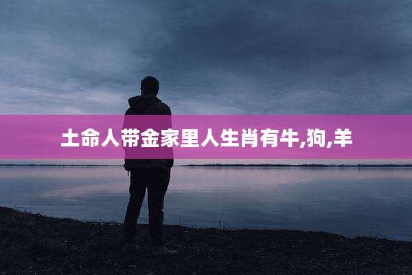 土命人带金家里人生肖有牛,狗,羊