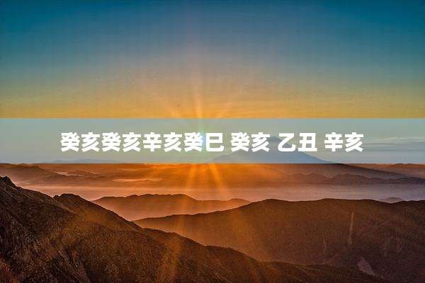 癸亥癸亥辛亥癸巳 癸亥 乙丑 辛亥