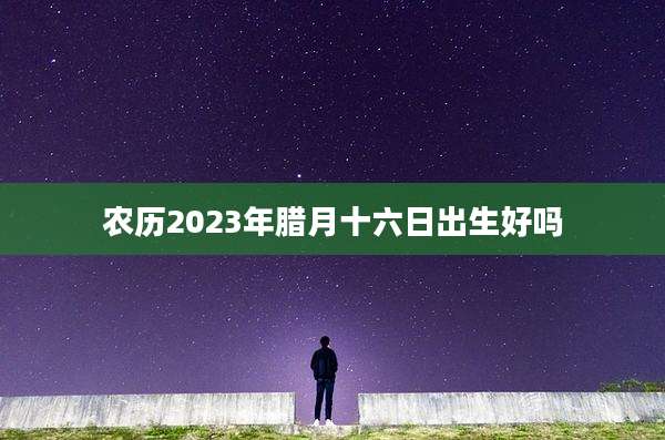 农历2023年腊月十六日出生好吗