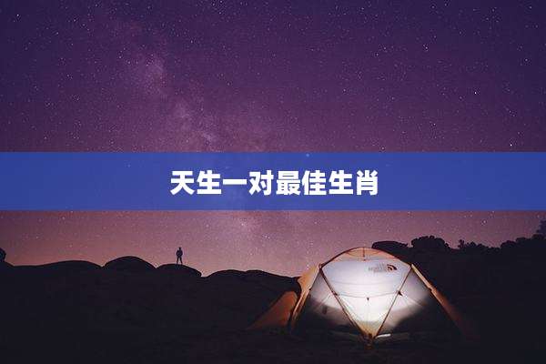 天生一对最佳生肖