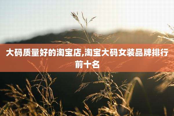 大码质量好的淘宝店,淘宝大码女装品牌排行前十名